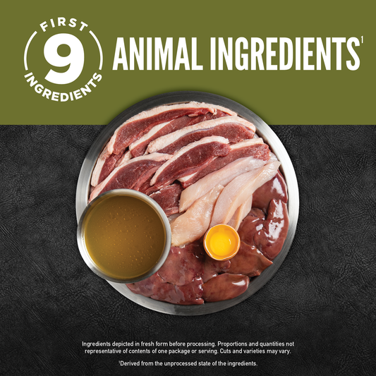 Origen Cat Chunks and Shreds Duck and Liver