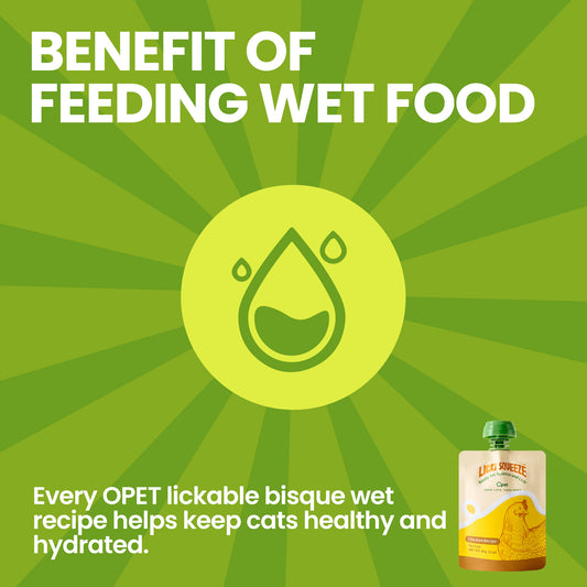 OPET Licki Squeeze 85G x 6