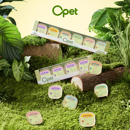 OPET Bistro Box 40G x 6