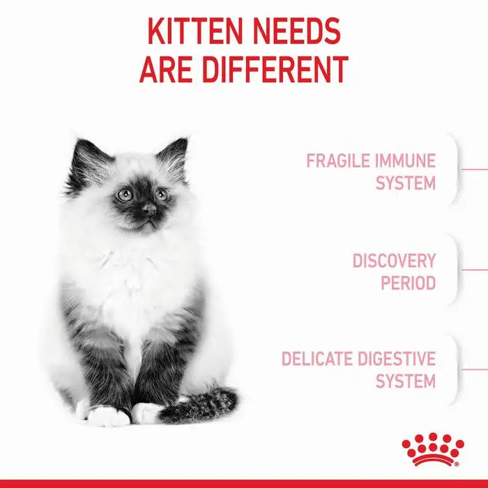Royal Canin Kitten