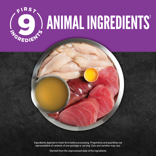 Origen Cat Chunks and Shreds Kitten Chicken and Tuna