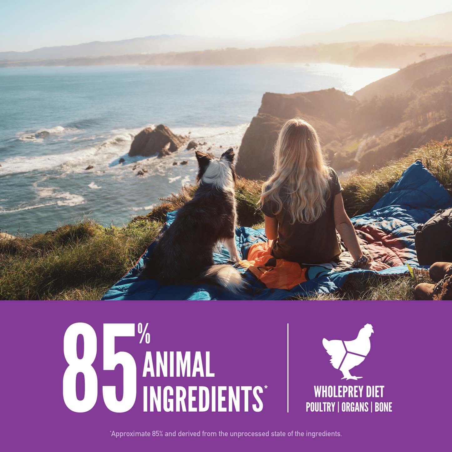 ORIJEN™ LARGE BREED PUPPY