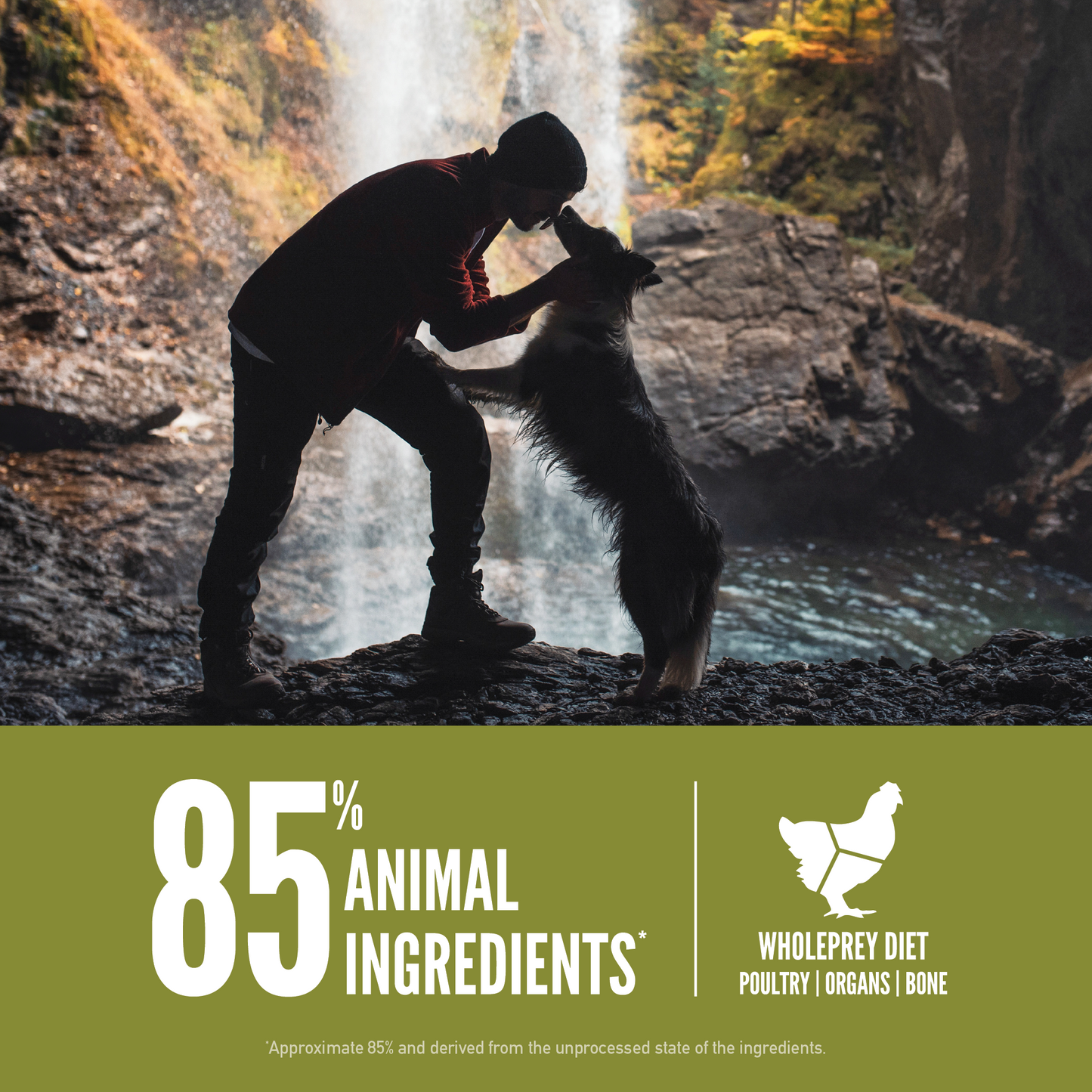 ORIJEN™ SENIOR DOG